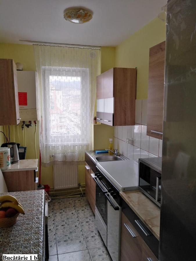 Apartament Salina Bulevard Алба-Юлия Экстерьер фото