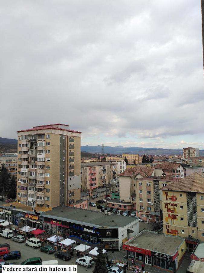 Apartament Salina Bulevard Алба-Юлия Экстерьер фото